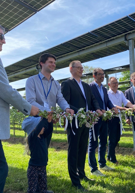 „Modellregion Agri-Photovoltaik Baden-Württemberg” zeigt Synergieeffekte doppelter Flächennutzung