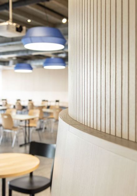 Lignotrend: Gebogene Akustikpaneele formen neue Raumidentität