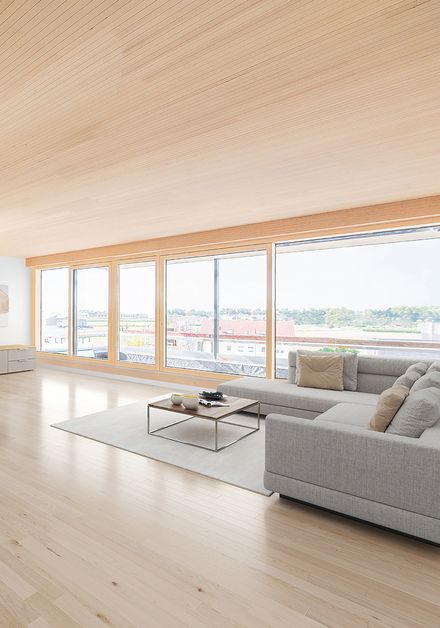 Brettsperrholzdecke CLT-Decke XL mit nahezu astfreiem Erscheinungsbild