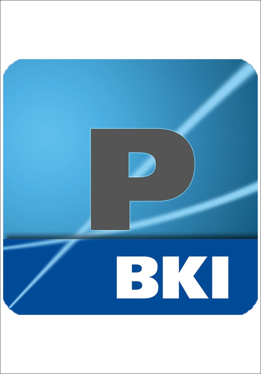 BKI stellt Software „Positionen 13” zur Verfügung