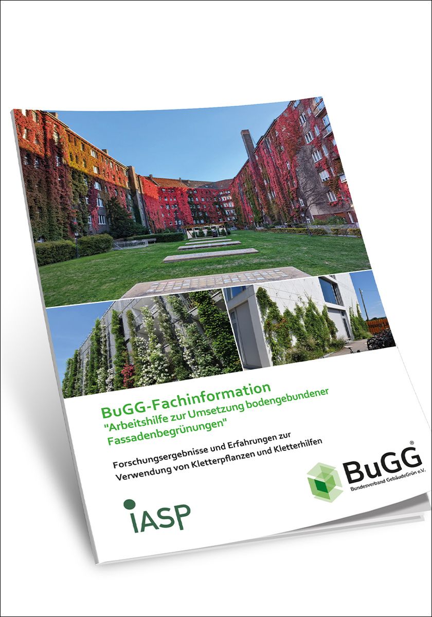 BuGG-Fachinformation: Neue Erkenntnisse für langlebige Grünfassaden