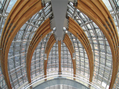 Holzarchitektur, Holzbau, Bauen mit Holz, Holz, Werkstoff Holz, Urban Wood, Holzbausystem, holzbasierte Materialien, Restaurierung, Sanierung, historische Holzbauten, mehrgeschossige Bauen mit Holz