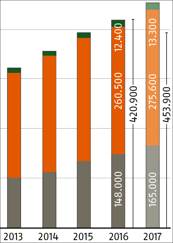 2016 verhaltene Marktentwicklung bei Holzpellets