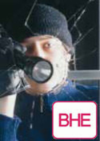 Elektronische Sicherungstechnik 2013 mit beachtlichem Umsatz-Zuwachs