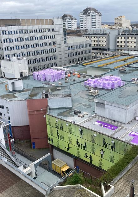 Umkehrdach ermöglicht Urban Farming auf 5.000 m² Dachfläche