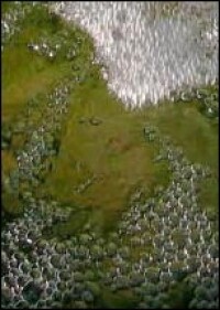 Neue Maßnahmen zum Schutz der natürlichen Gewässer vor Spurenstoffen