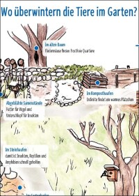 Baumschnitt, Laub und Fallobst im Garten lassen