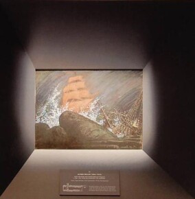 "Ungezähmte Natur" in Piqmento von VMZINC gerahmt