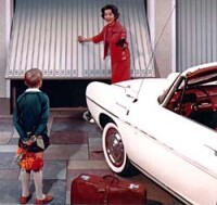 Berry-Tor - ein Garagentpr-Klassiker wird 50