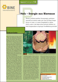 Energie aus Biomasse per Holzpelletsheizung und/oder Pelletsheizung