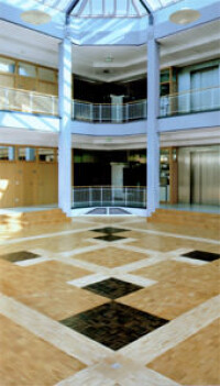 Verschiedene Holzarten machen Parkettböden abwechslungsreich