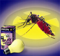 Anti-Insekten-Lampe hält Mücken auf Abstand