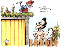  Beim Dachgarten auf der Garage gelten Grenzabstände nicht