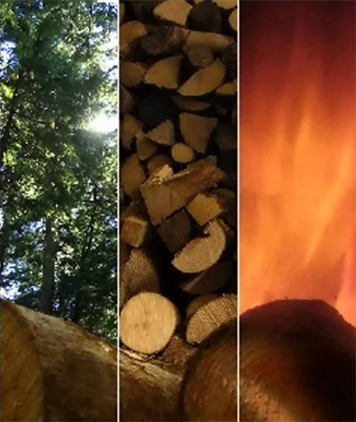 Biomasse, Holzpellets, VDI-Fachtagung, Strom, Wärme, biogene Festbrennstoffe, Bioenergie, VDI-Gesellschaft Energietechnik, VDI-GET, Biomasse-Verbrennung, Biomasse-Vergasung, Brennstofflagerung, Festbettvergasung, Wirbelschichtvergasung