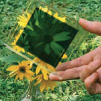 Photochrome Systeme auf dem Weg zur architektonischen Anwendung