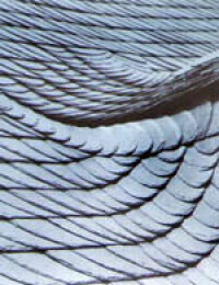 Moselschiefer: Mehlig auf der Zunge, hart auf dem Dach