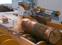 Die Kunst der Furnierherstellung