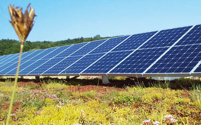 Solarenergie, Stromerzeugung, Dachbegrünung, Gründach, Photovoltaik, Warmwasseraufbereitung, Solarthermie, Wärmedämmung, Heizungsunterstützung, Dachdichtung, Solarnutzung, Flachdach, Dränage, begrünte Dächer, Wasserspeicher