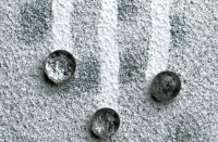 Lotusan jetzt mit TÜV-Zertifikat