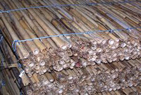 Plädoyer für WDVS mit Schilf-Dämmung