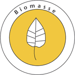 Logo: Polygeneration-Konzept mit Biomasse