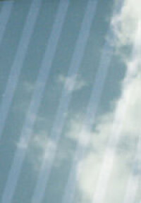 Vogelschutzglas hamstert Preise