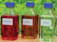 Mineralölwirtschaft entwickelt Bioheizöl