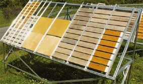 Technisch modifiziertes Holz: Tropenholz aus heimischen (Buchen-)Wäldern