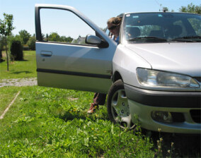 Schotterrasen soll Parkplätze grüner machen