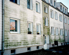 Schnelltest für Mikroorganismen und Fassaden