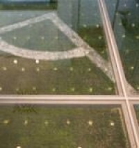 Glasboden bringt Stadionrasen in die Vereinsloge