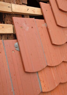 Konvexe Biber ohne Schnabeln fürs Barockschloss Moritzburg