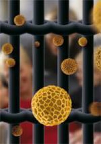 Pollenschutz beginnt licht- und luftdurchlässig am Fenster