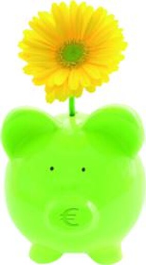 Energie-Checks zum Tchibo-Preis