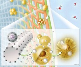 Antibakterieller Vorhangstoff schützt vor Ansteckung mit Klinik-Keimen