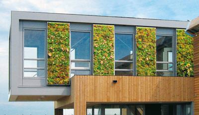 Fassadenbegrünung / Grünfassade: Zinco Vertigreen