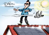 Wenn das Solardach blendet. Nachbarn müssen nicht jede Störung hinnehmen