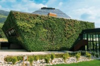 "Fassadengarten" von Optigrün