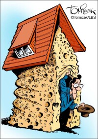 Fiskus hilft beim Befall einer Immobilie mit Hausschwamm