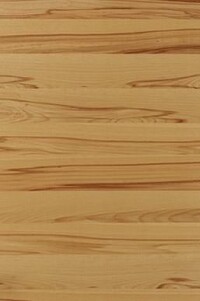 Furnier macht Zimmertüren zu Unikaten