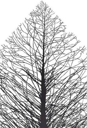 "Bauen Mit Holz - Wege in die Zukunft" vom 10.11.2011 bis 5.2.2012