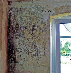 DIY-Mikroporenbeschichtung "Hygrosan" verspricht schimmelfreie Wände