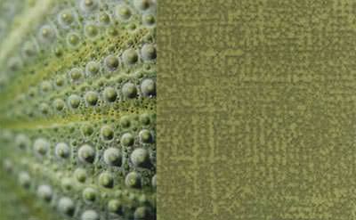 Flotex Metro 246019 lemon