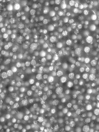 Keine Pauschalurteile über Nanomaterialen