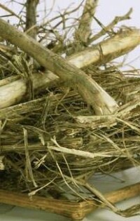 Forschung: Eigenschaften mineralischer Baustoffe mit Naturfasern verbessern