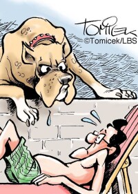 Justitia im Grünen: Garten-Streitigkeiten vor Gericht