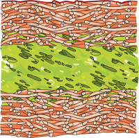 Unterspann- und Unterdeckbahnen: Feinheiten zwischen Vliesen