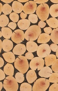 Butt Cut: Hirnholz-Furnier von Schorn & Groh im Plattenformat