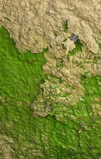 Fraunhofer-IBP erforscht umweltfreundliche WDV-Systeme für Bestandsbauten