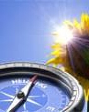 IEU-Modernisierungskompass: wirtschaftliche Motive entscheiden